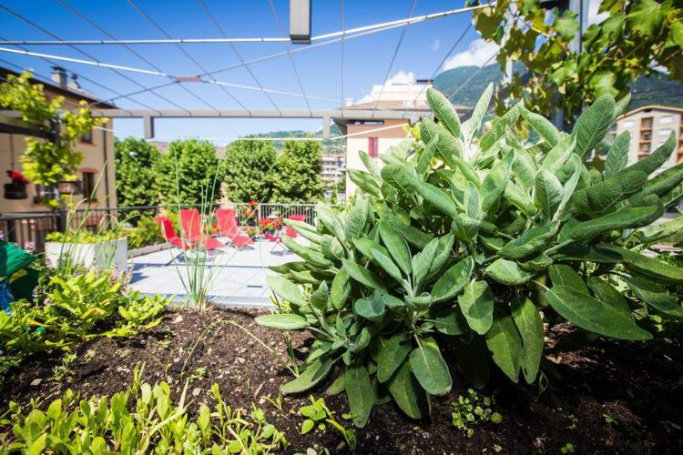 B&B Panemiele Sondrio Luaran gambar